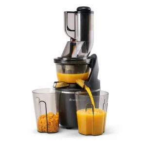 Regalia Full Fruit Cold Press Slow Juicer